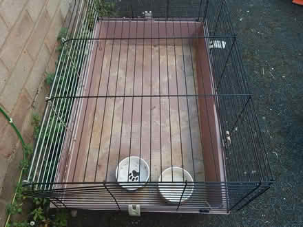 Photo of free Guinea pig cage (The Reddings) #2