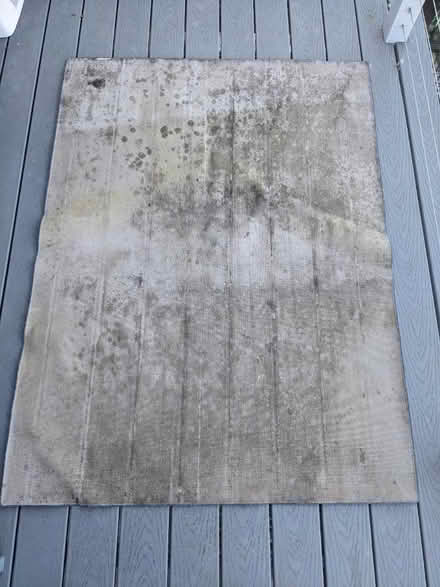 Photo of free Blue rug (San Mateo Knolls) #2