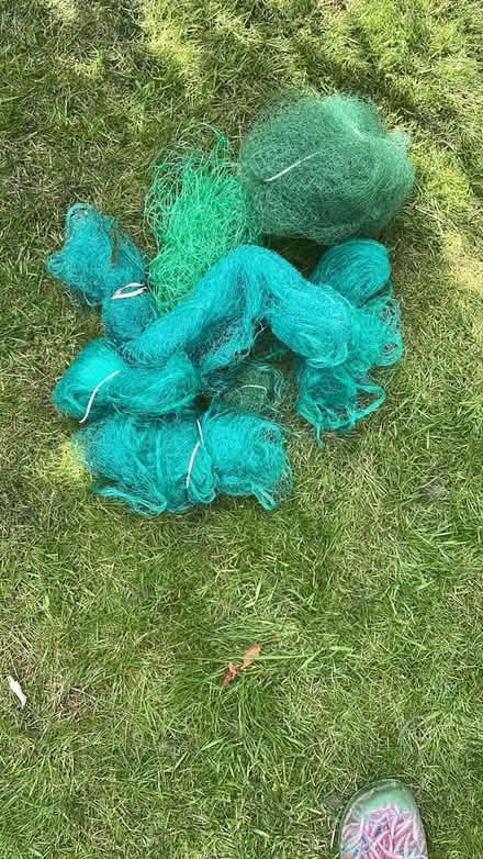 Photo of free Garden netting (Didsbury M20) #1