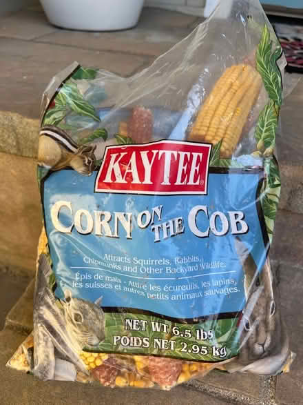 Photo of free Bag of Dried Corn on the Cobb (Bennett Valley) #1