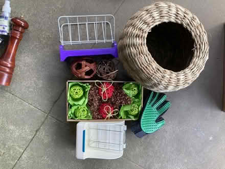 Photo of free Mason jars, pet, party supplies (Avalon and Genesee) #3