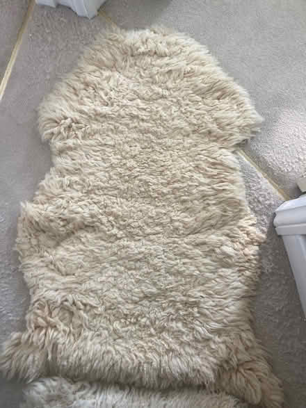 Photo of free Sheepskins (BH23) #1