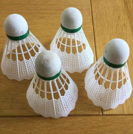 Photo of free Shuttlecocks (Mannings Heath) #1