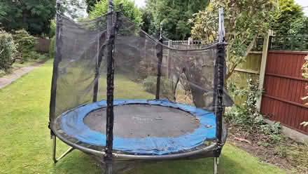 Photo of free 8 ft trampoline (DE21) #1