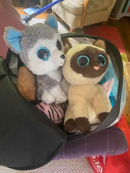 Photo of free Beanie Boos (Bray Co Wicklow) #1