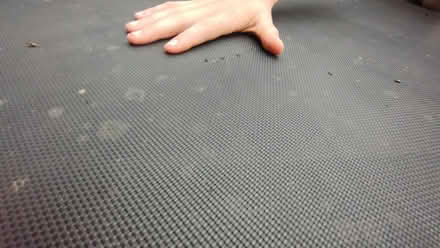 Photo of free Trampoline & Net (Bishopston BS7) #4