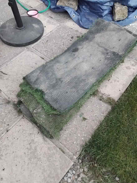 Photo of free Artificial Grass (TN17) #3