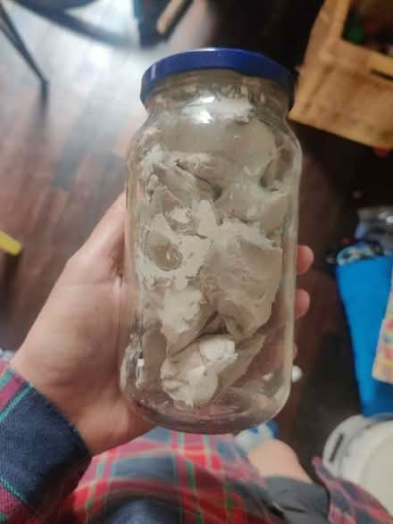 Photo of free Porcelain (Surrenden BN1) #1