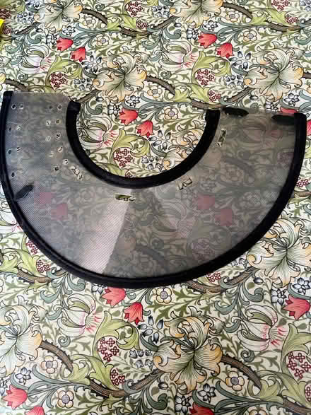 Photo of free Cat medical collar/ cone (TN15) #2