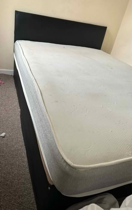 Photo of free Double size bed (BL9) #1