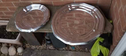 Photo of free Serving plates x 5 (DE22) #1