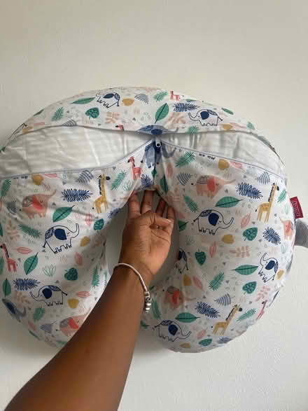 Photo of free Nuby feeding pillow (SW16) #1