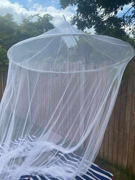Photo of free IKEA mosquito net (SE25) #1