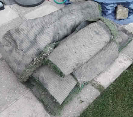 Photo of free Artificial Grass (TN17) #1