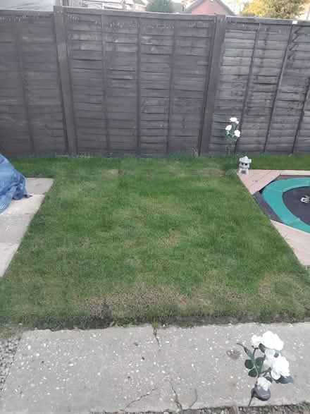 Photo of free Artificial Grass (TN17) #2