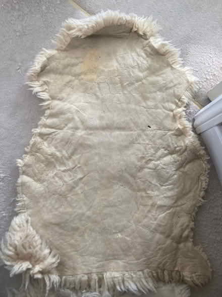Photo of free Sheepskins (BH23) #4