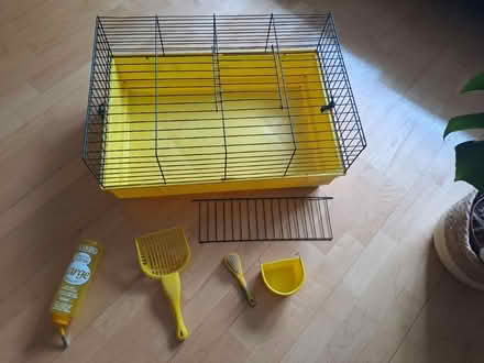 Photo of free Guinea pig cage and accessories (Sandyford) #1