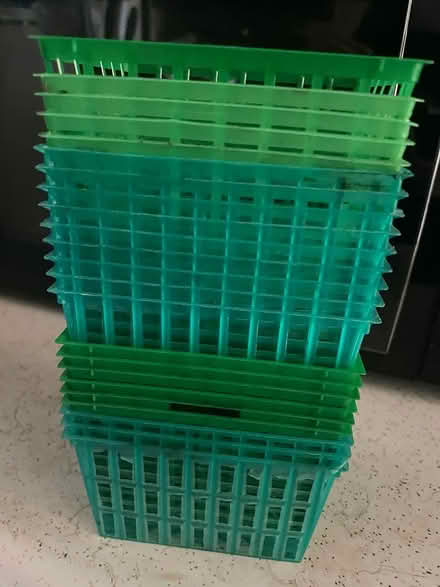 Photo of free Plastic berry baskets (Oakland) #1