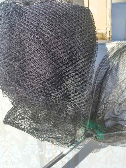 Photo of free Pond netting (Maidstone ME15) #3