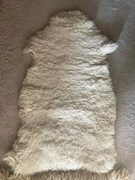 Photo of free Sheepskins (BH23) #2