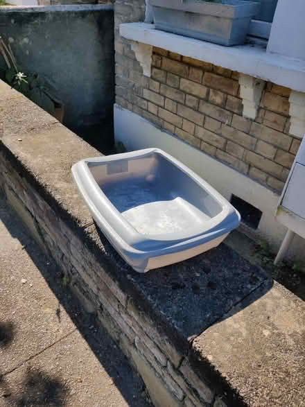 Photo of free Cat litter tray (SW17) #1