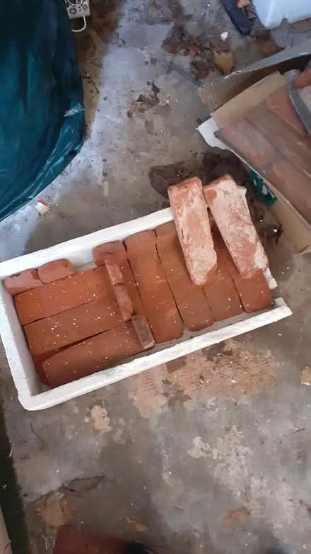 Photo of free Brick slips (CH45 Wallasey) #1