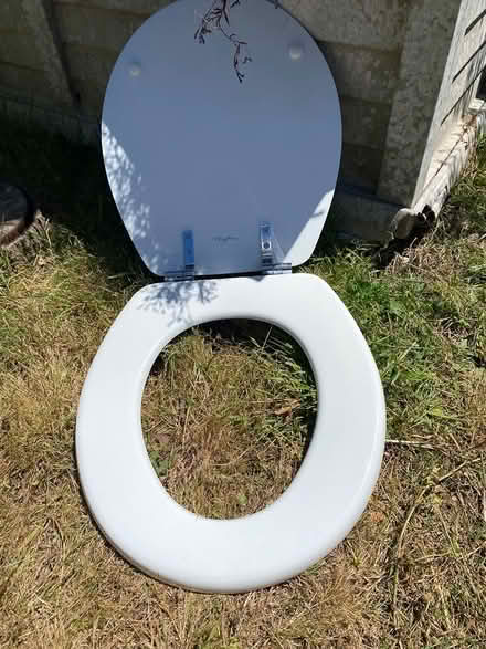 Photo of free Toilet seat (Eureka) #1