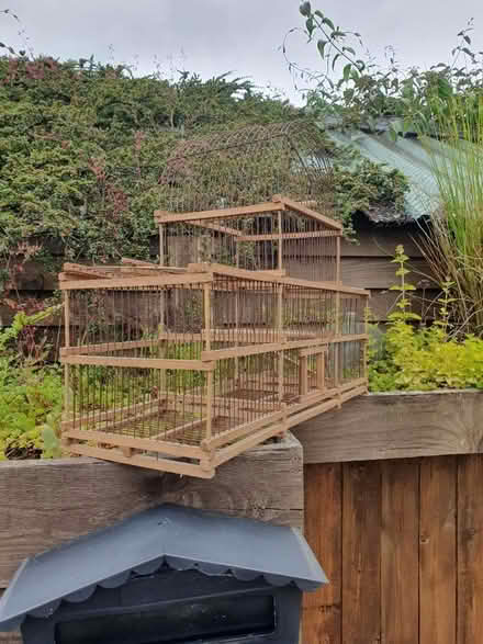 Photo of free Bird cage (Chalford Hill) #2