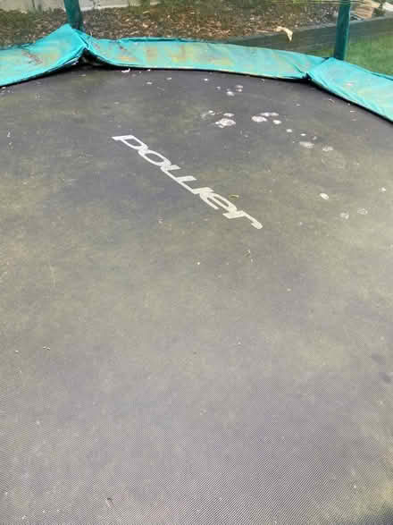Photo of free Trampoline 8ft (Horndon SS17) #4