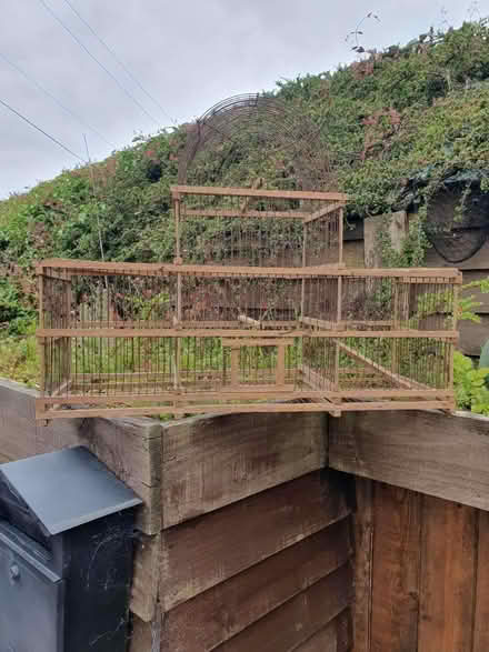Photo of free Bird cage (Chalford Hill) #1