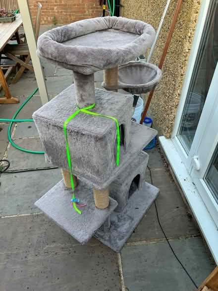 Photo of free cat tree (Chessington - KT9) #1