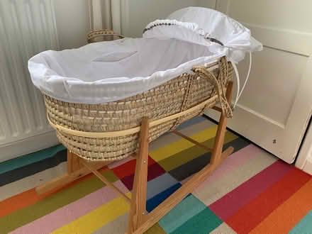 Photo of free Baby Moses Basket (Teignmouth) #2