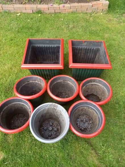 Photo of free Plastic anters (Gobowen SY11) #1