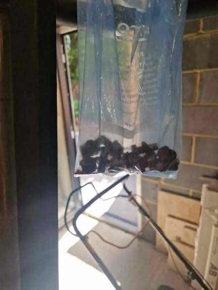 Photo of free Rhino roofrack (Locksbottom BR6) #2