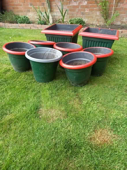 Photo of free Plastic anters (Gobowen SY11) #2