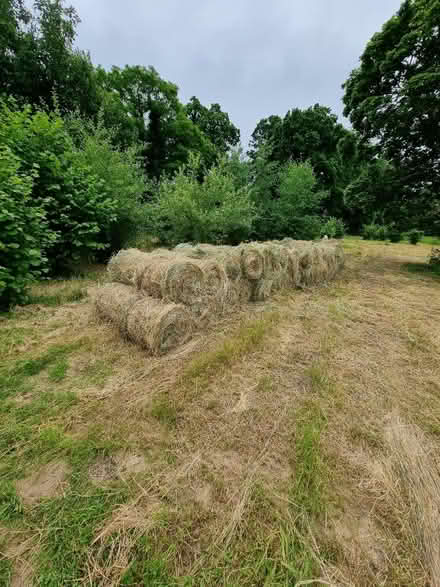 Photo of free Mini bales of hay round (wick BS30 doynton) #1