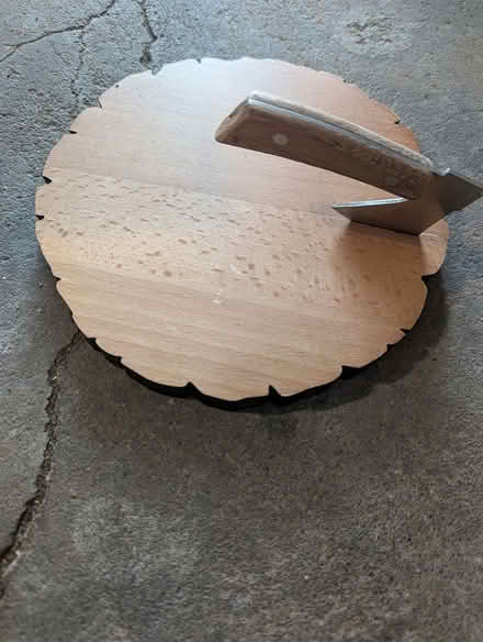 Photo of free whimsical cheese board (Davis Square Somerville) #1