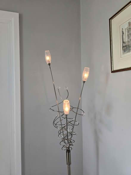 Photo of free Floorstanding Lamp (Telford) #1