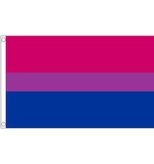 Photo of free Bi Pride flag (Castlefield M5) #1