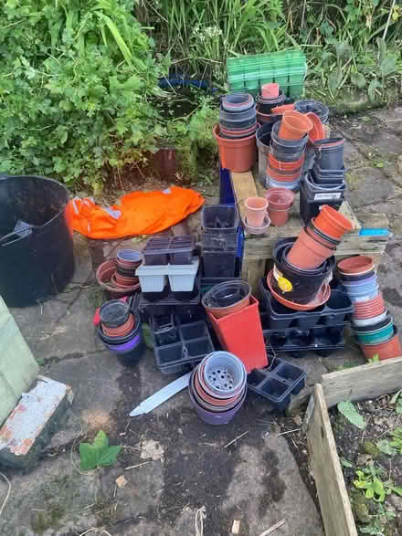 Photo of free Plant pots and seed trays (North Shields, NE29) #1