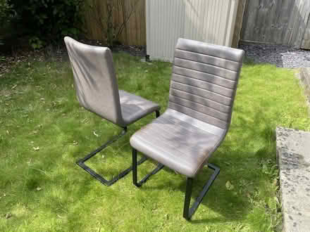 Photo of free Dining room chairs (Headington OX3) #1