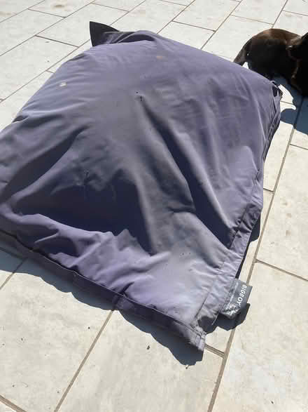 Photo of free Giant garden bean bags (Shoreham TN14) #1