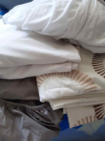 Photo of free Bedding for single bed. (Combe Down) #1