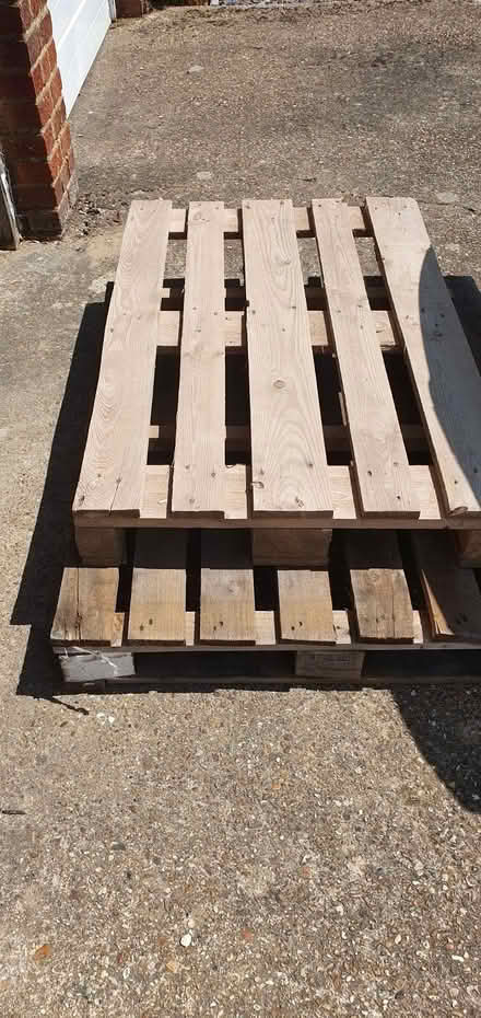 Photo of free 2 x pallets in Shinfield (Woosehill RG41) #1