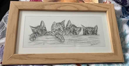 Photo of free Pencil sketch of kittens (Far Bletchley MK3) #1