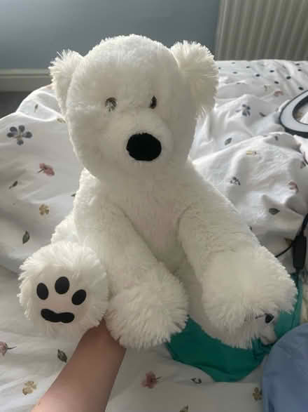 Photo of free Polar bear teddy (Maldon CM9) #1
