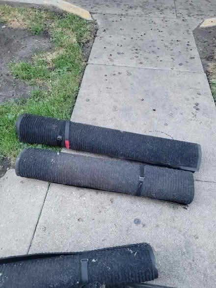 Photo of free All weather Carpets (Jeff Park 60630) #1