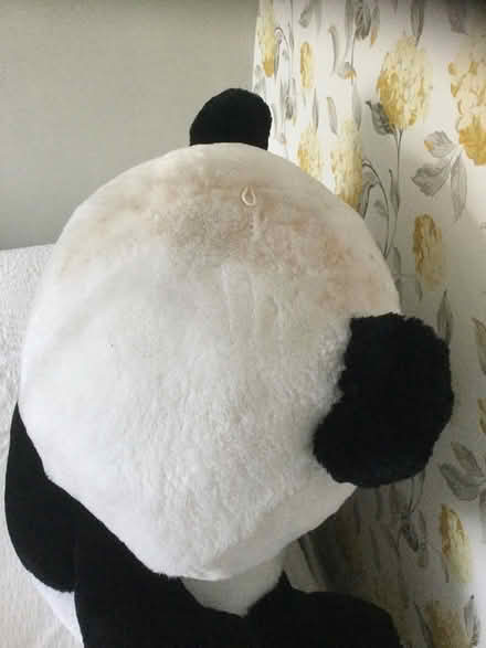 Photo of free Large panda toy (Wrecclesham) #2