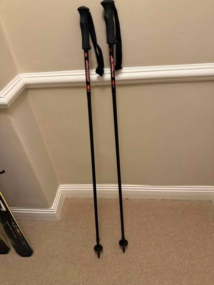 Photo of free Ski Poles (Ponteland NE20) #2