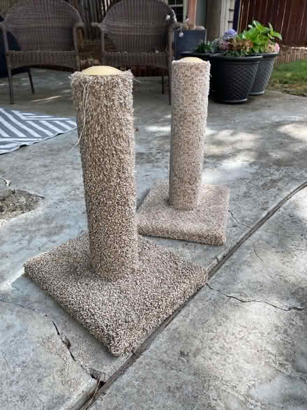 Photo of free Cat scratching posts (Santana row) #1